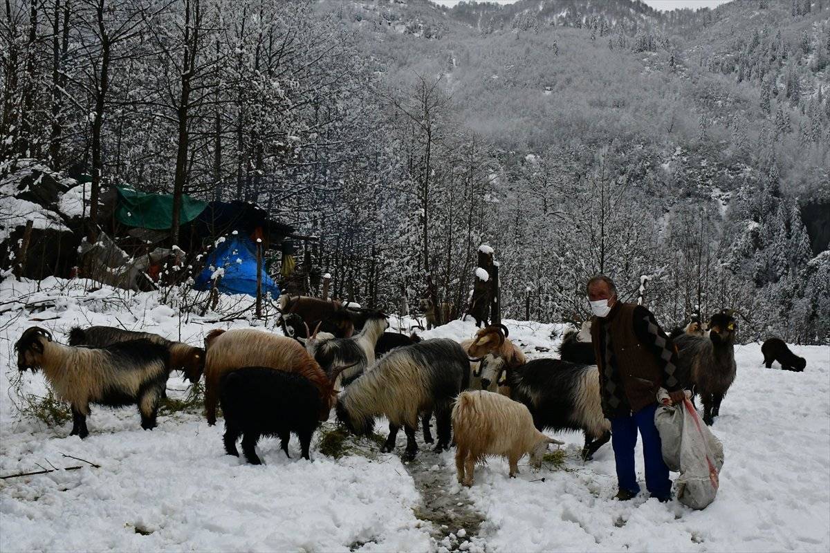 Artvinli yaylacıların kar altında köye dönüş yolu