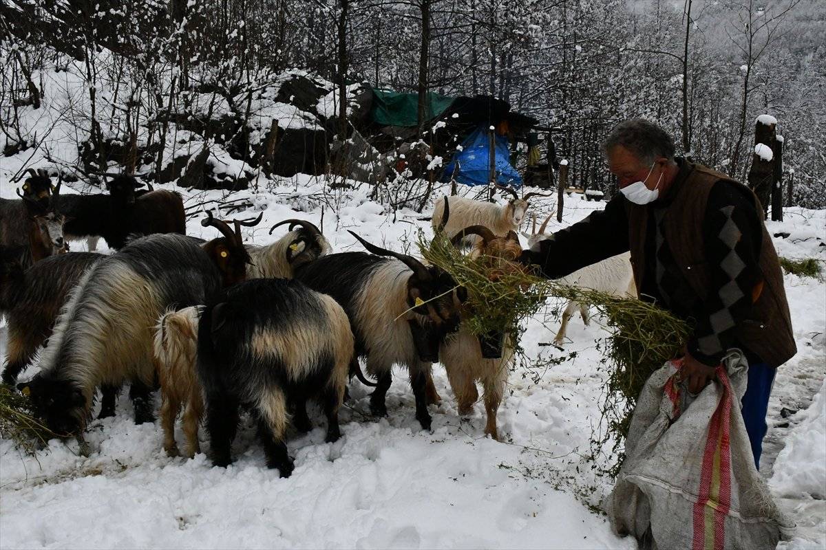 Artvinli yaylacıların kar altında köye dönüş yolu