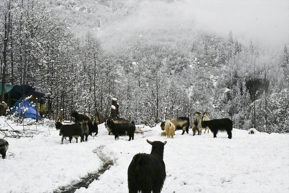Artvinli yaylacıların kar altında köye dönüş yolu