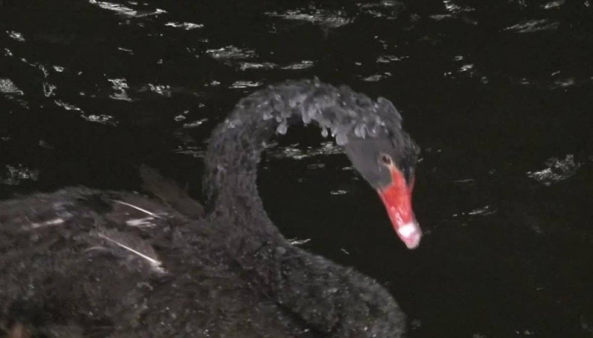 Ankara'da hava sıcaklığı eksi 17 dereceye kadar düştü