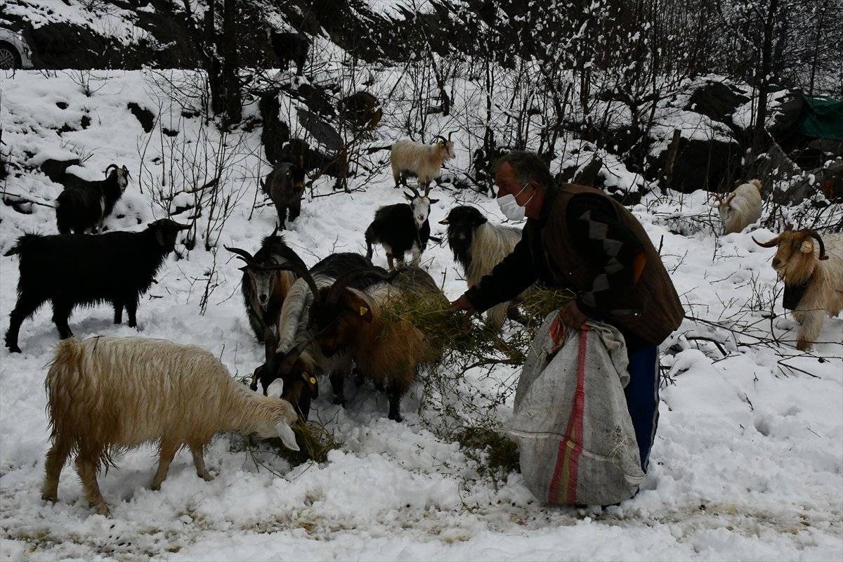 Artvinli yaylacıların kar altında köye dönüş yolu