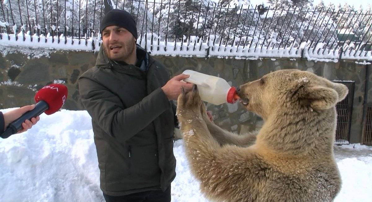 Çekmeköy'de bozayı ve kurdun kar eğlencesi