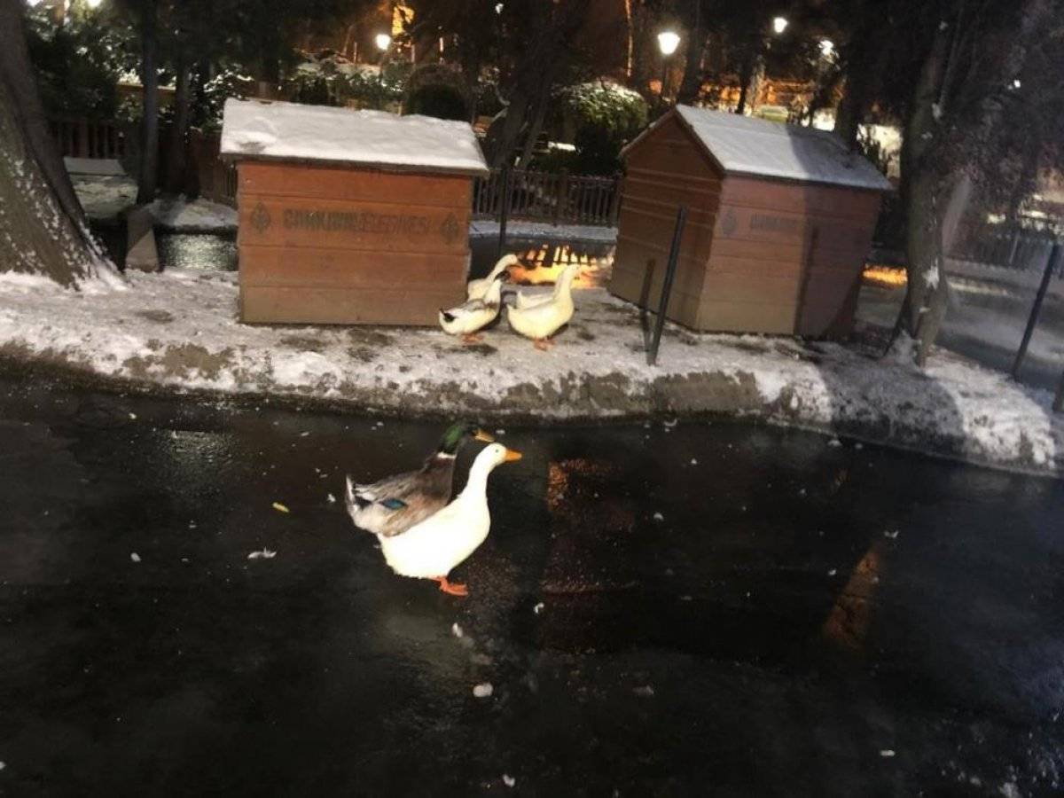 Ankara'da hava sıcaklığı eksi 17 dereceye kadar düştü