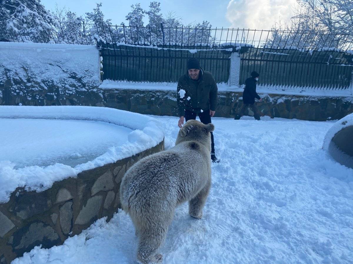 Çekmeköy'de bozayı ve kurdun kar eğlencesi
