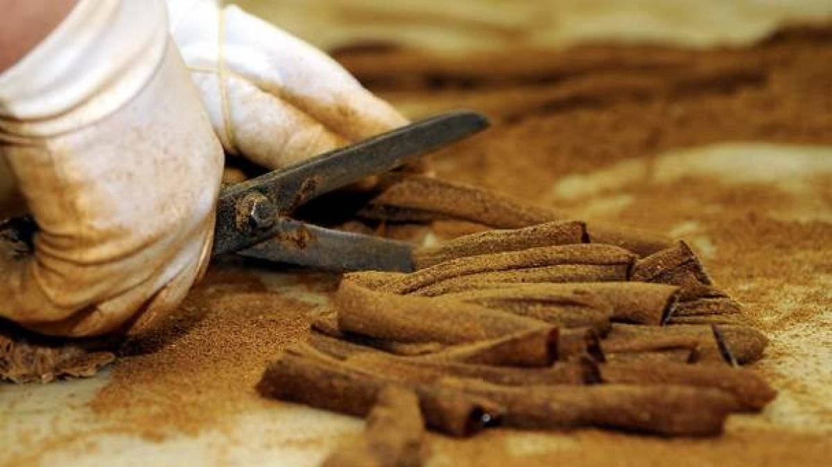 Mesir macunu ne işe yarar? Mesir macunu nasıl yenir, faydaları nelerdir?