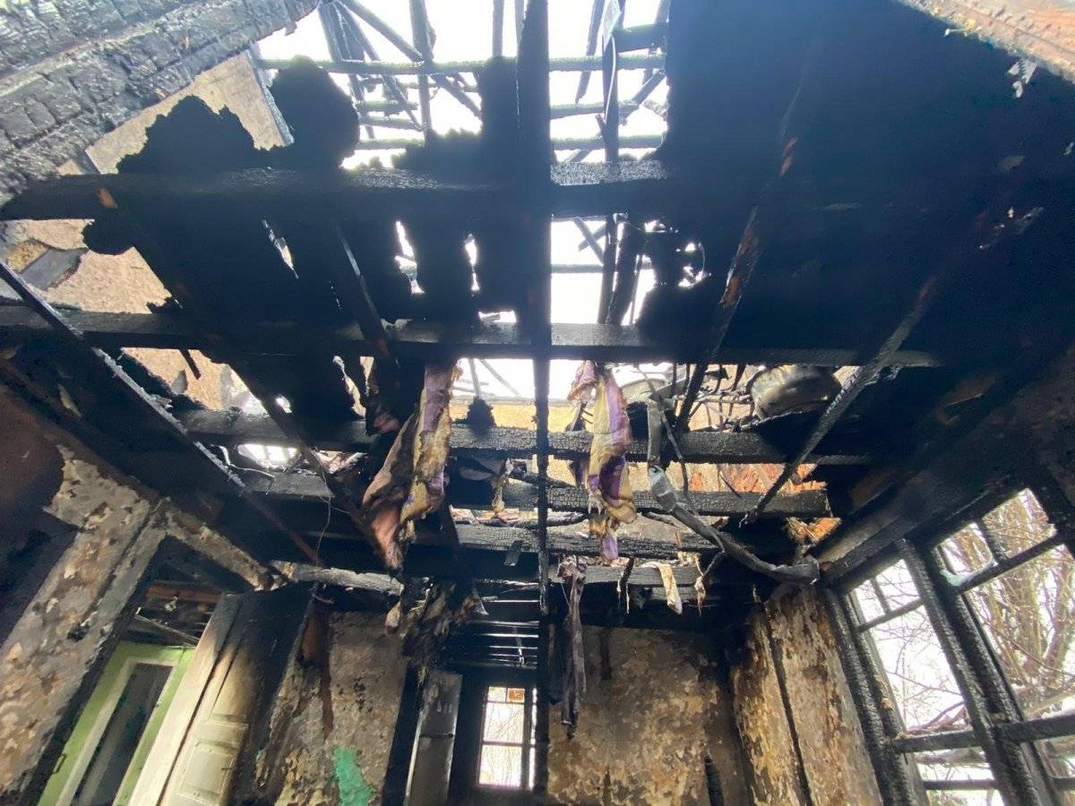 Düzce'de bacaya giren baykuş, evin yanmasına neden oldu