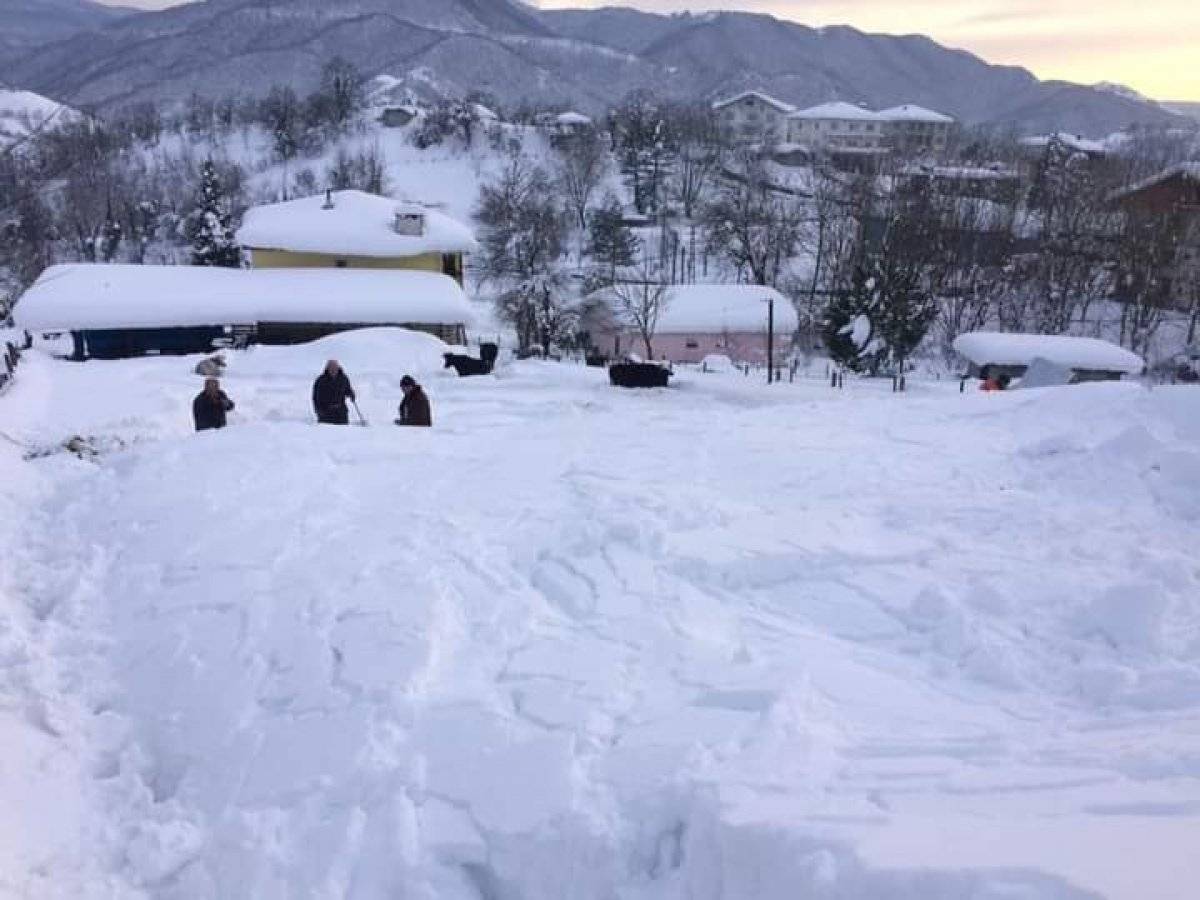 Zonguldak'ta ahır çöktü: 7 hayvan telef oldu