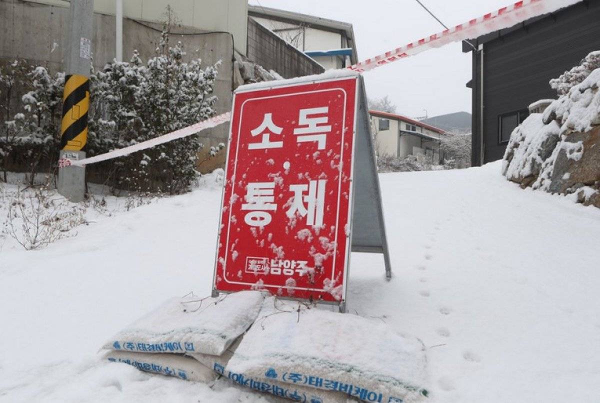 Güney Kore'de kuş gribi vakalarına bir yenisi daha eklendi