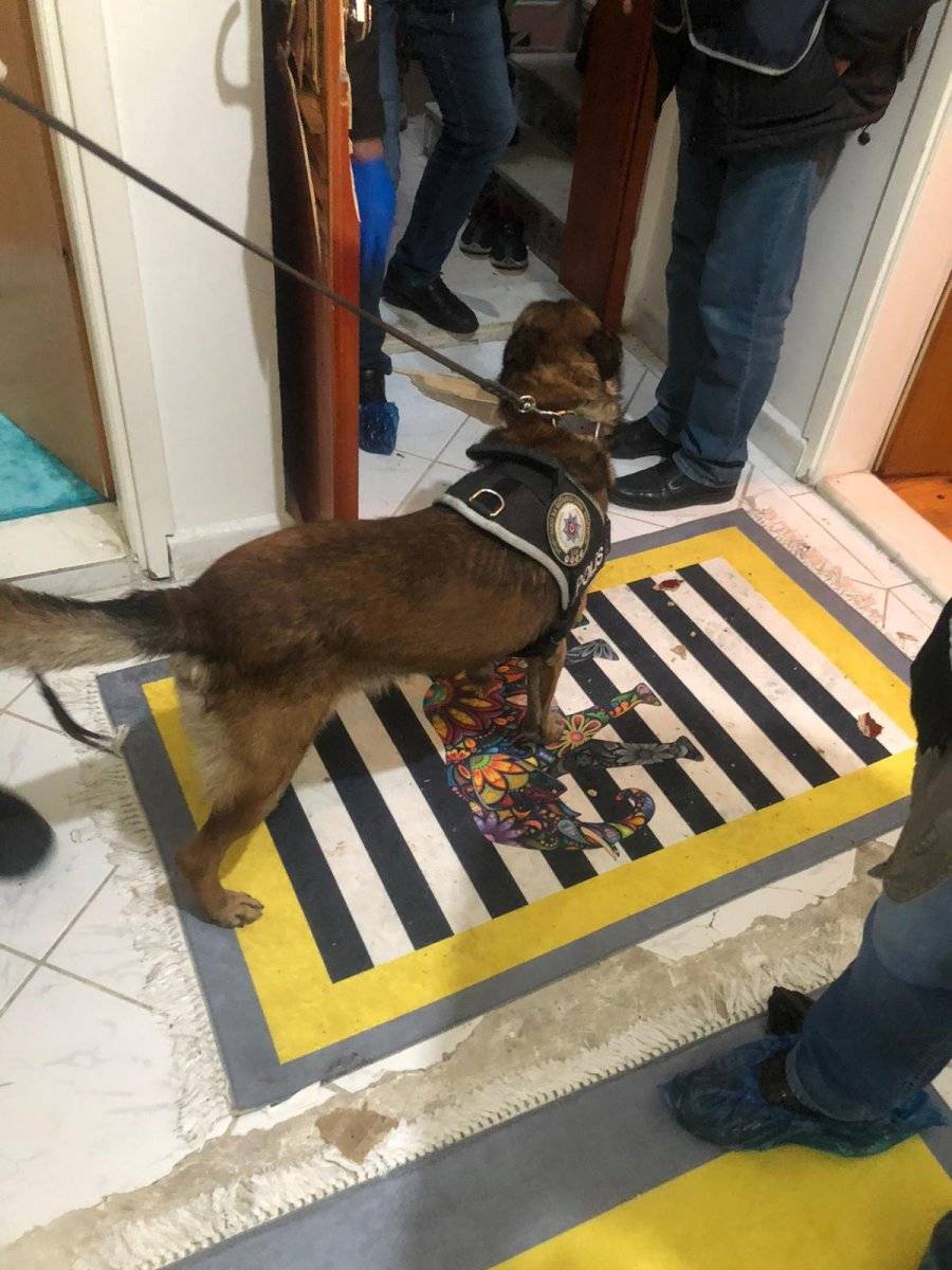 Karaman'da kadın suç örgütü liderinin yaptıkları pes dedirtti