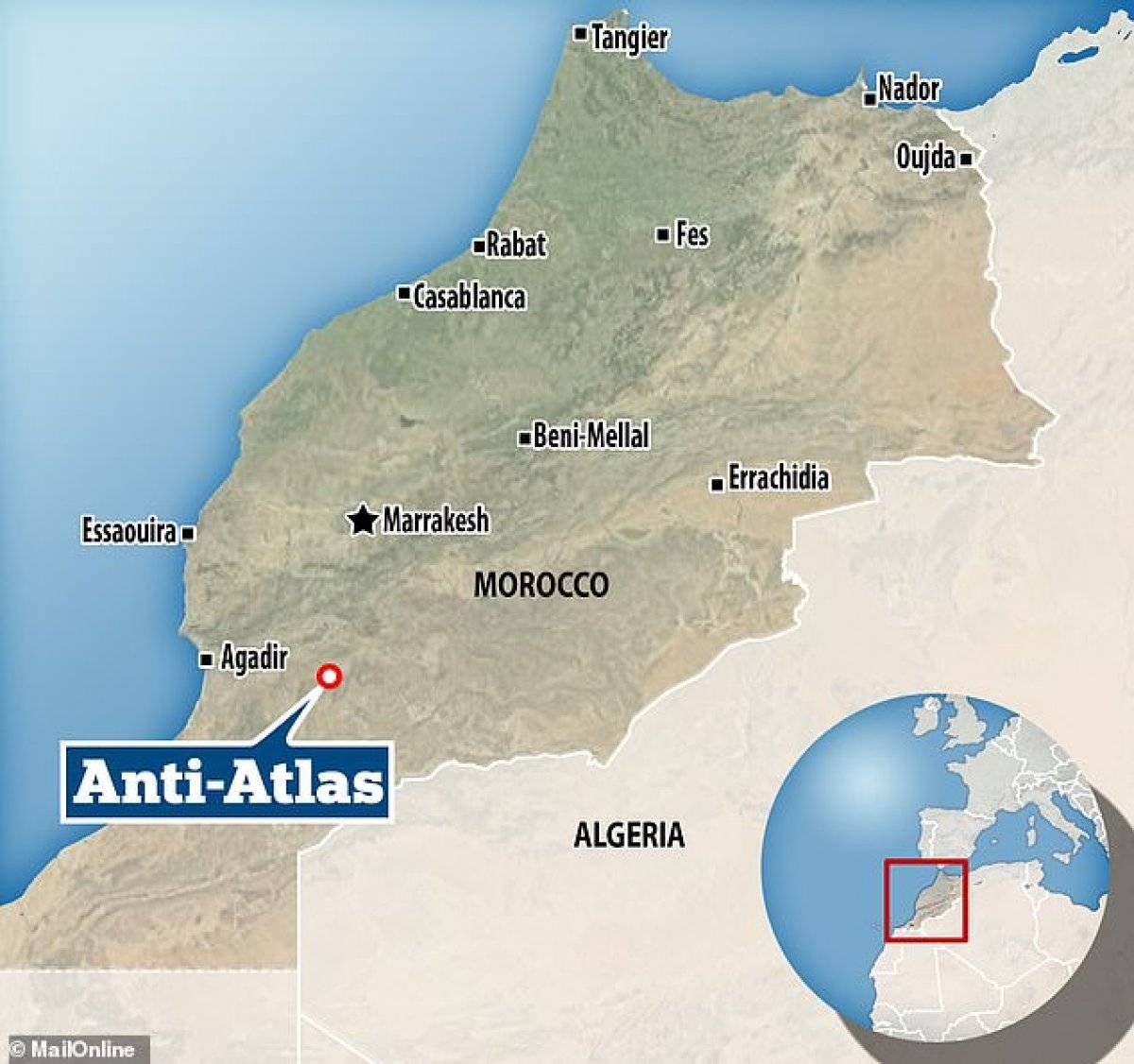 denizyıldızı fosili