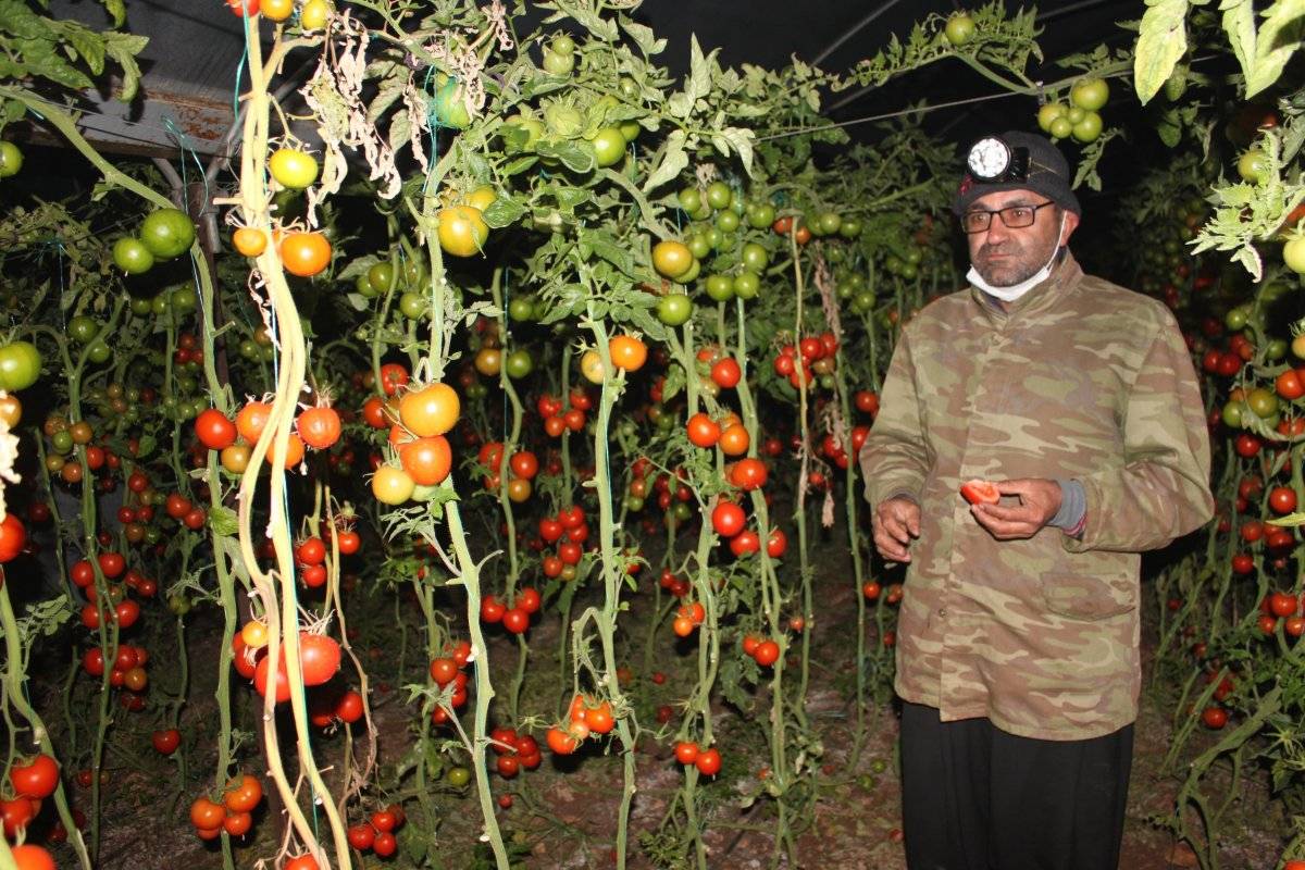 Meteoroloji uyardı, Mersin’de üreticiler zirai don nöbeti tuttu