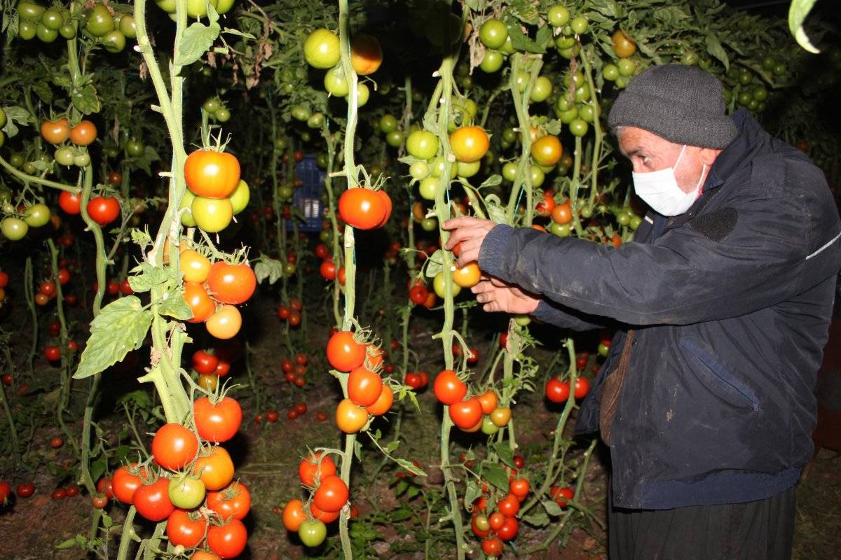 Meteoroloji uyardı, Mersin’de üreticiler zirai don nöbeti tuttu