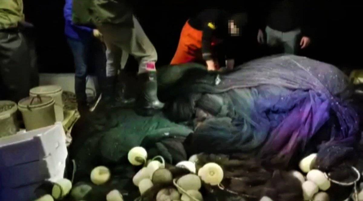 Kocaeli'de izinsiz avlanan balıkçılar yakalandı