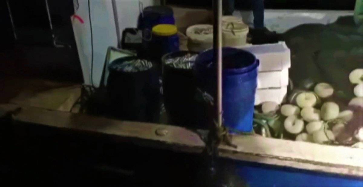 Kocaeli'de izinsiz avlanan balıkçılar yakalandı