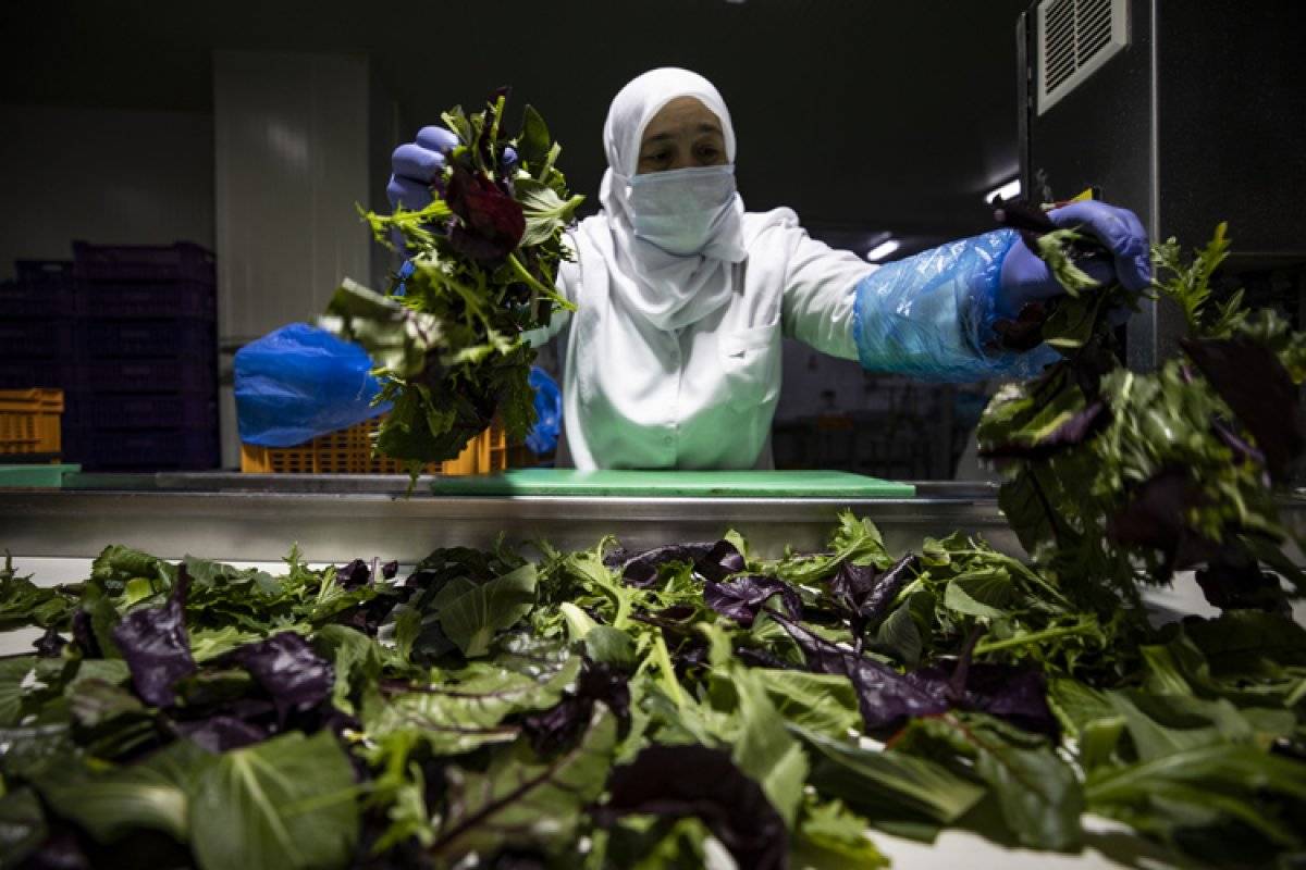 Koronavirüste paketlenmiş ürüne rağbet arttı