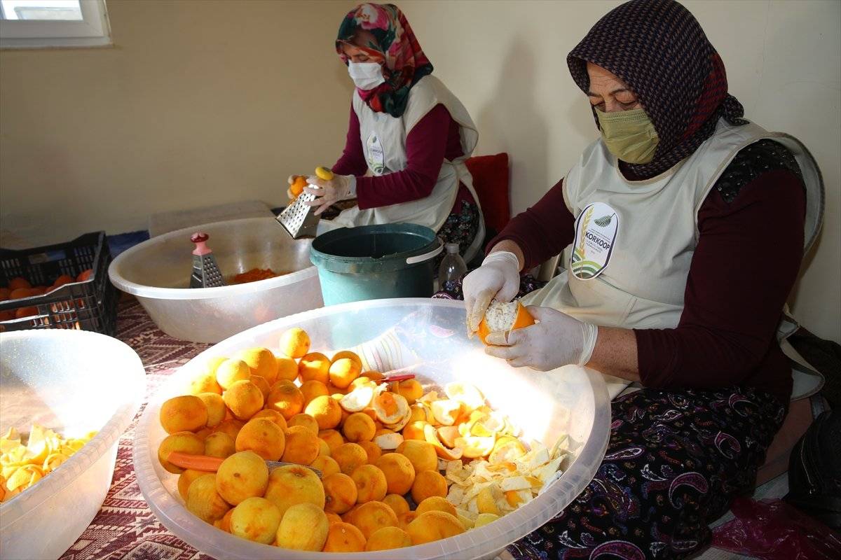 Turunçlar ekonomiye kazandırılıyor