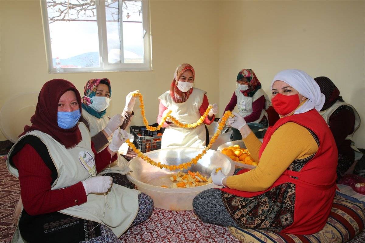 Turunçlar ekonomiye kazandırılıyor