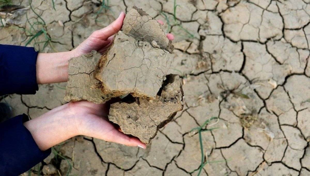 WWF'den Türkiye'ye uyarı: Kuraklık kritik seviyeyi geçti