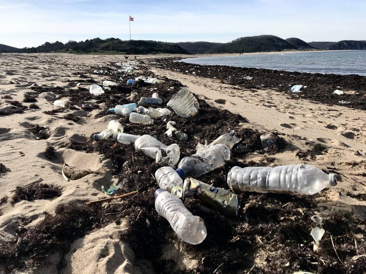 İstanbulluların akın ettiği sahil çöplüğü aratmadı