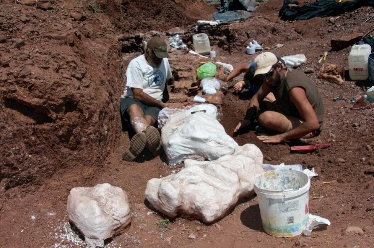 Arjantin’de 98 milyon yıllık dinozor fosili bulundu