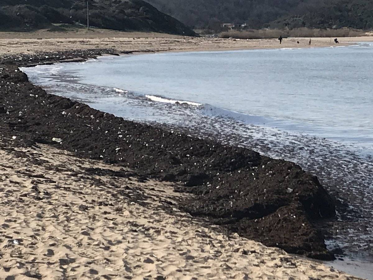 İstanbulluların akın ettiği sahil çöplüğü aratmadı