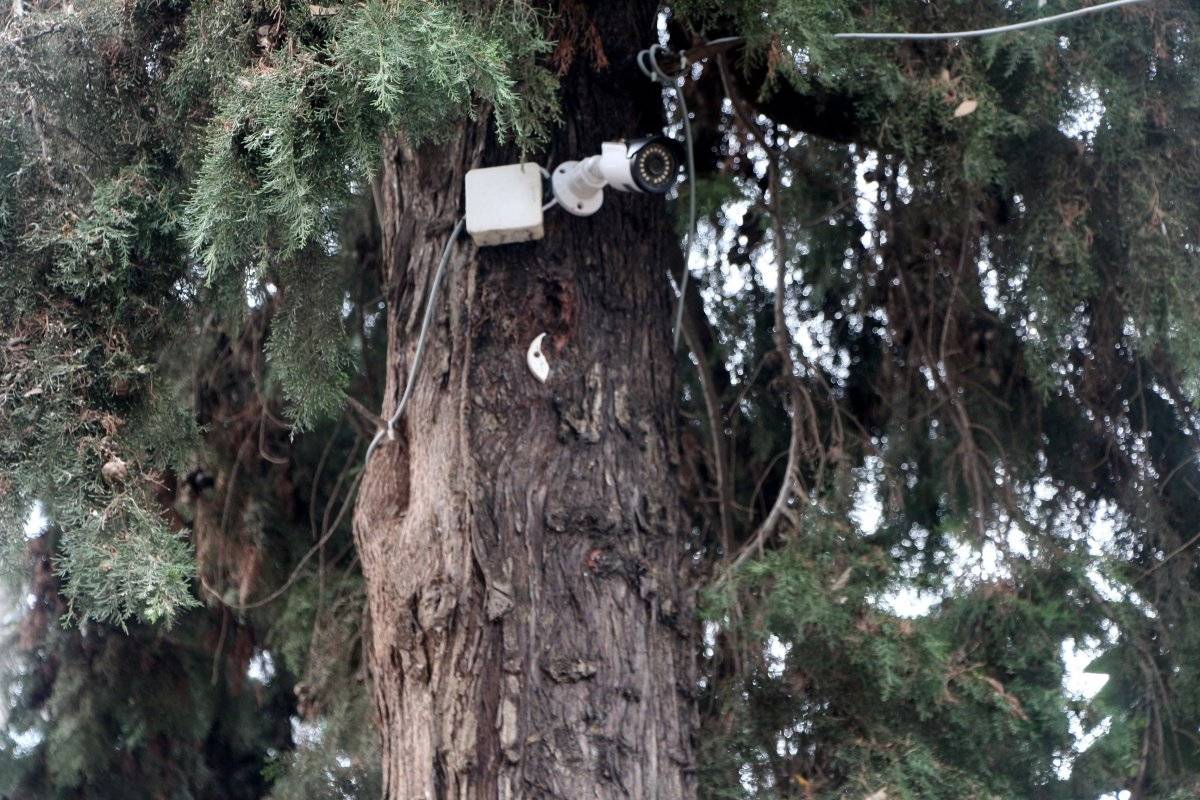 Adana'da hırsız, çaldığı güvenlik kamerasına yakalandı