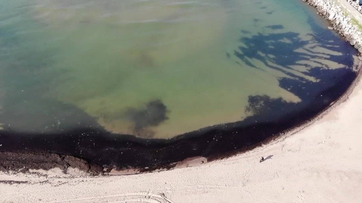 İstanbulluların akın ettiği sahil çöplüğü aratmadı