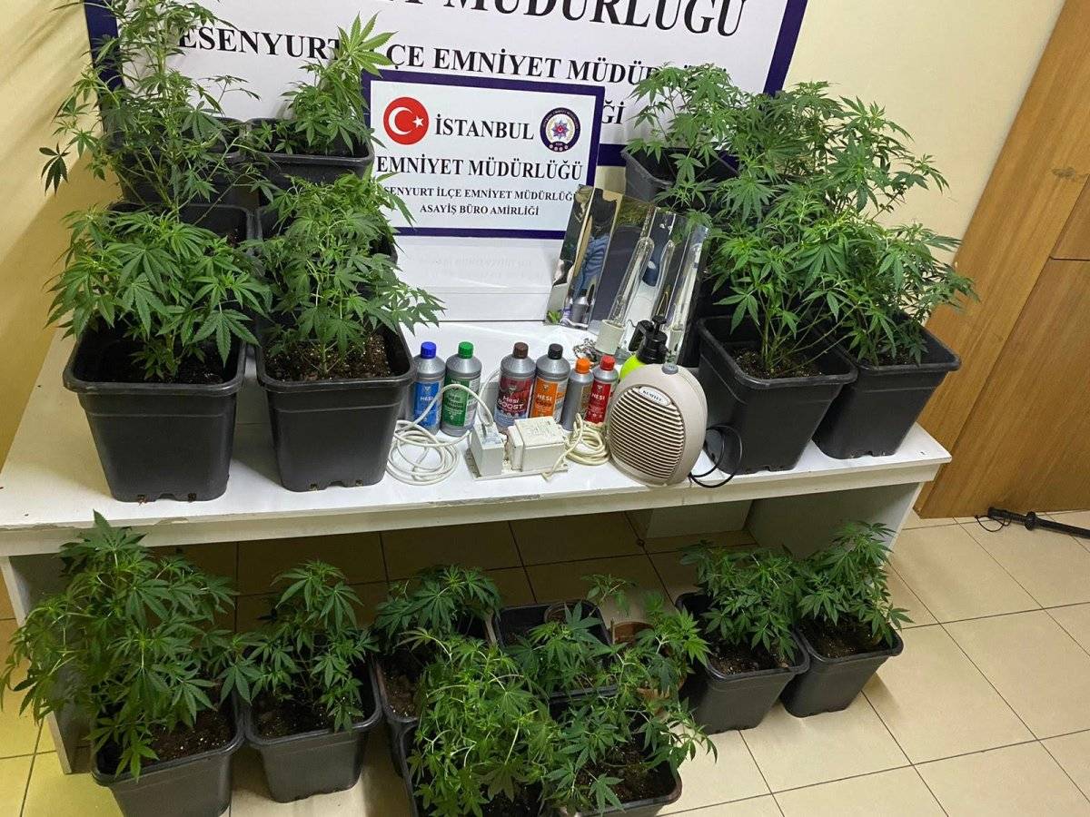 İstanbul'da uyuşturucu yetiştiren kadının şaşırtan savunması