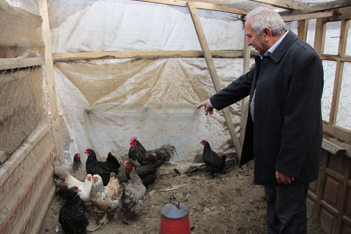 Amasya'da tilkiyle karşılaşan çiftçi, yaşadıklarını anlattı