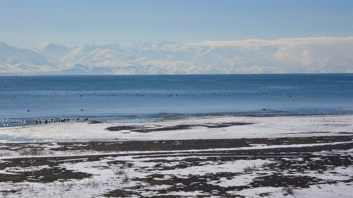 Prof. Dr. Faruk Alaeddinoğlu: Kuraklık virüsten daha tehlikeli