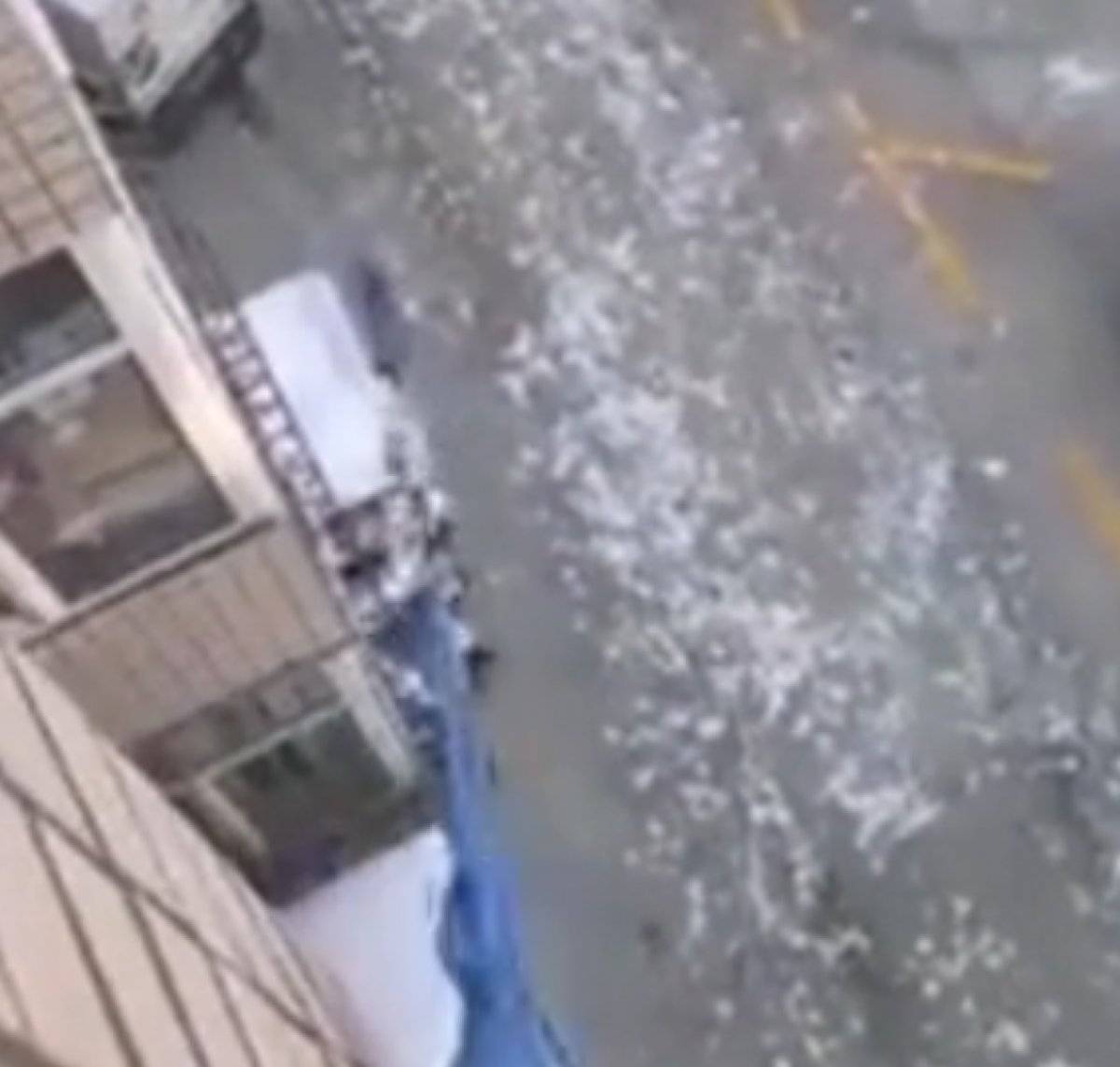 Çin'de evden çıkamayan adamın ilginç köpek gezdirme yöntemi