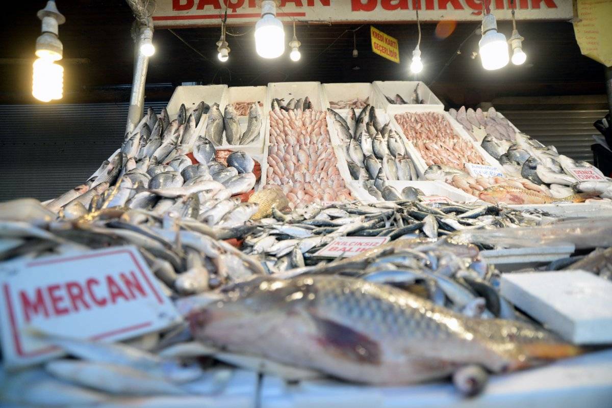 Mersin'de balık ucuz