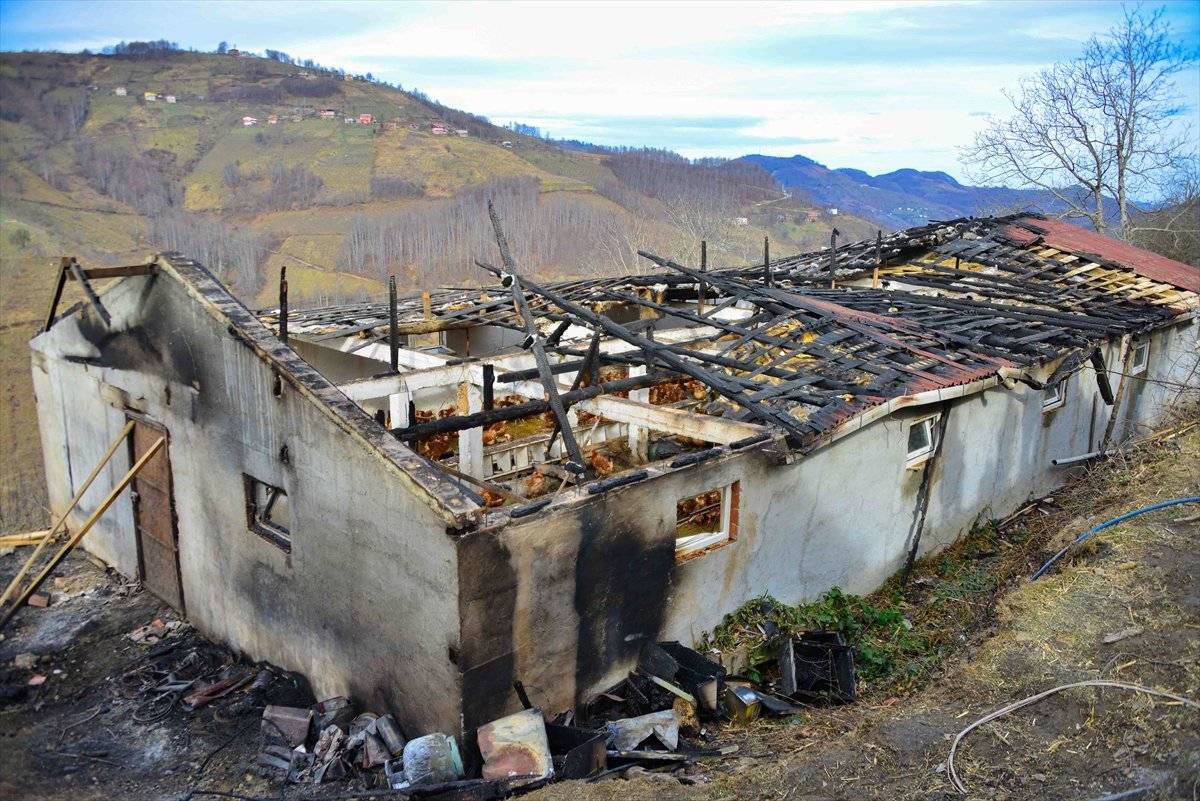 Ordu'da yanan kümesteki 400 tavuk telef oldu