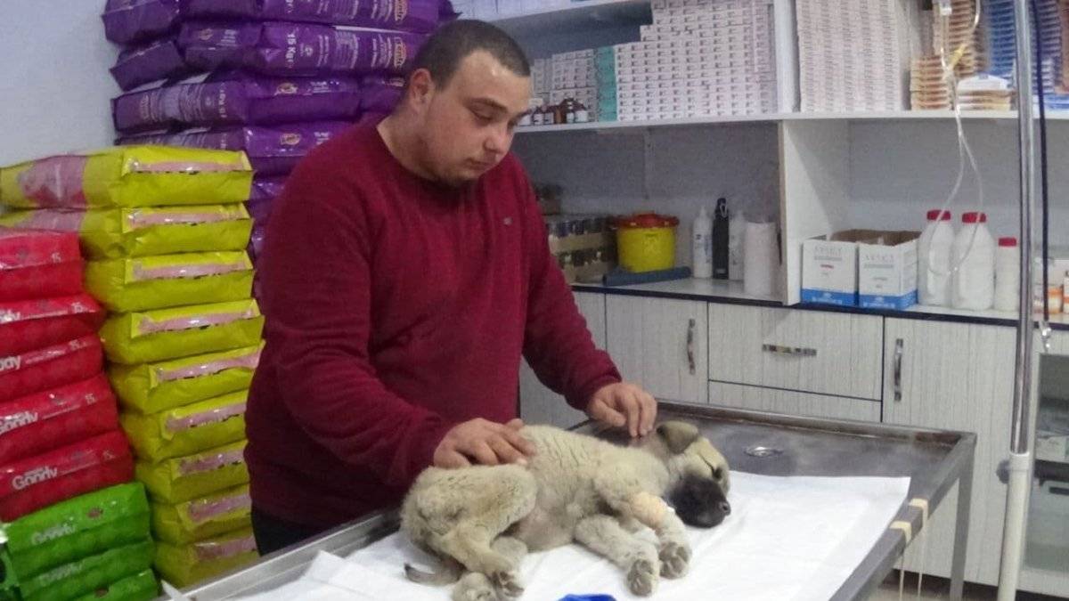 Tokat'ta rahatsızlanan köpeğini veterinere koşarak götürdü