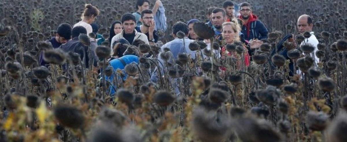 Alman mahkemesinin kararı: Sığınmacılar Yunanistan'a gönderilemez
