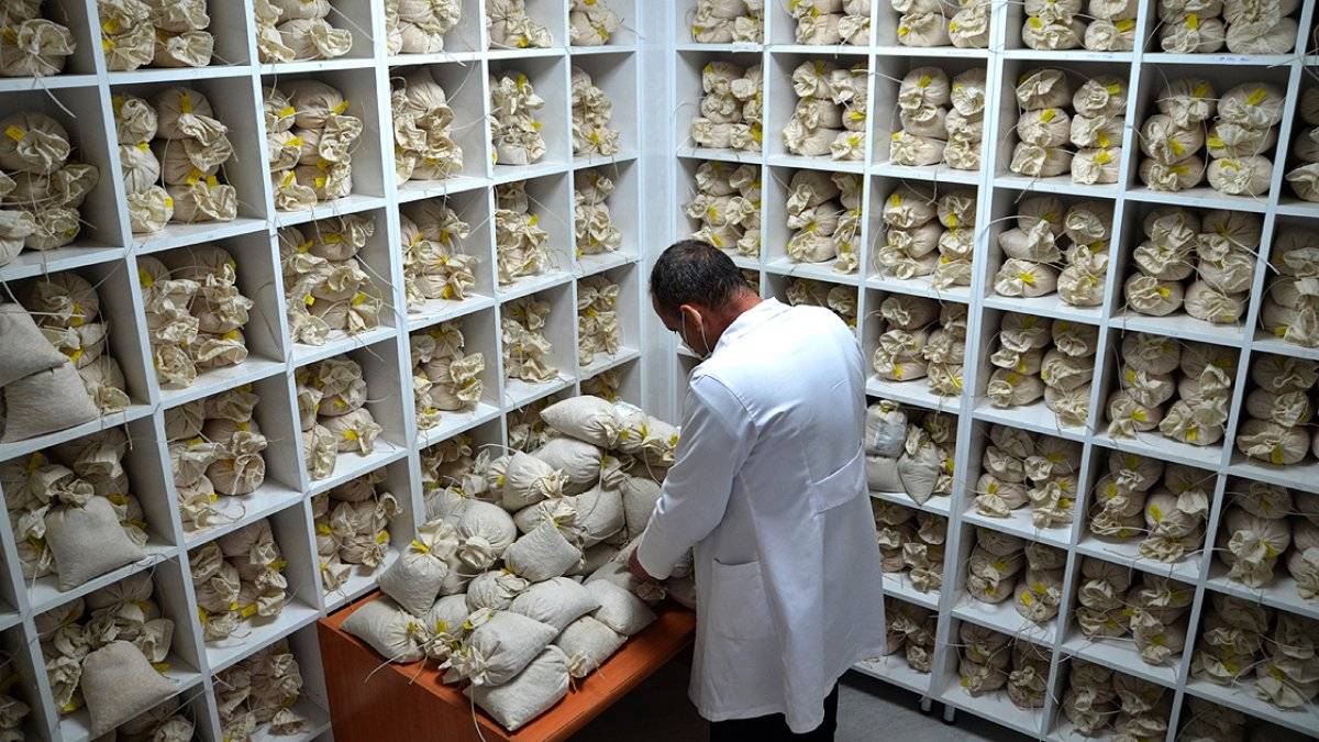 Lisanslı depoculuk gelişti