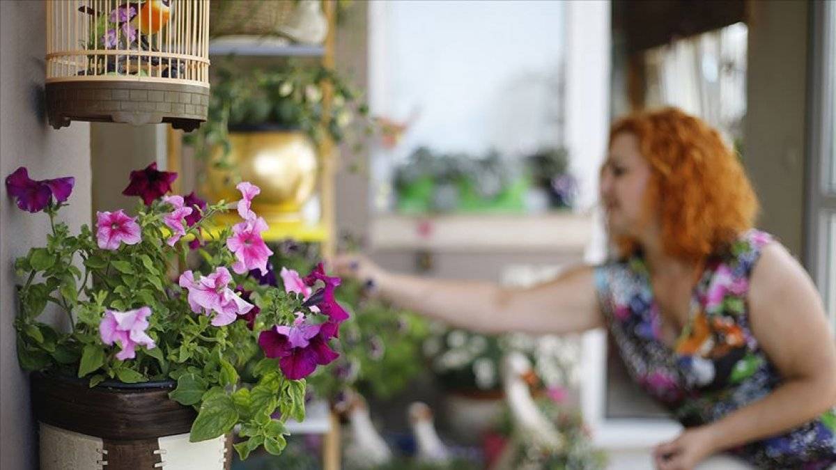 Süs bitkisi ihracatı arttı