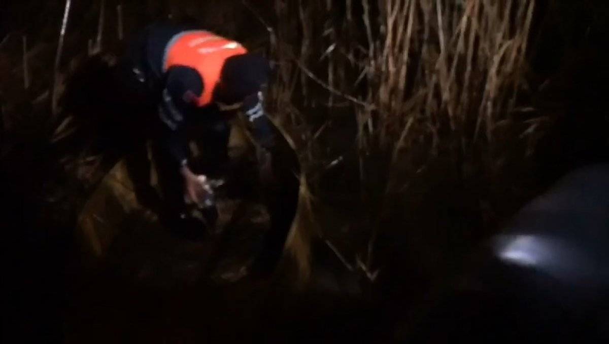 Uluabat Gölü’nde izinsiz avlanan 3 genç kendilerini ihbar etti