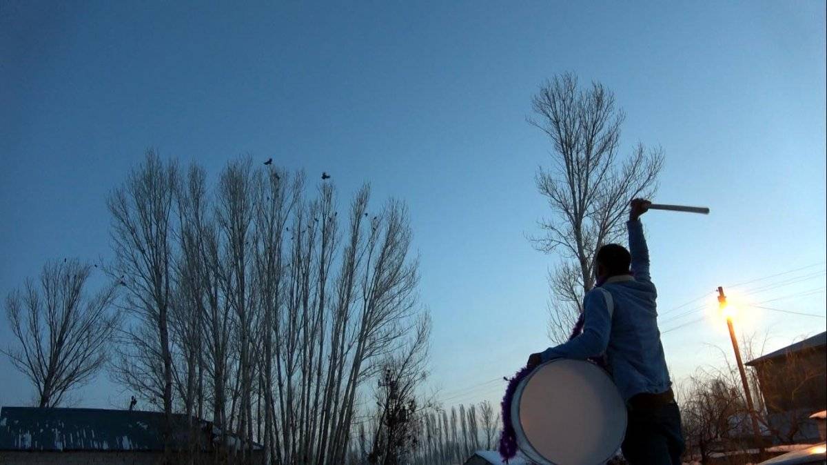 Van’da mahallelinin davullu tefli karga mücadelesi