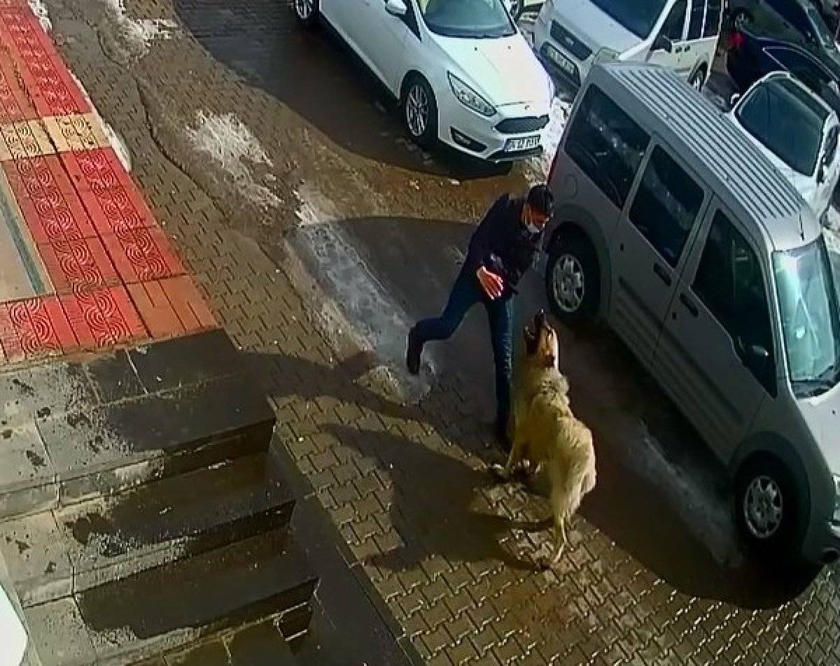 Bitlis'te kendisine saldıran köpekten böyle kurtuldu