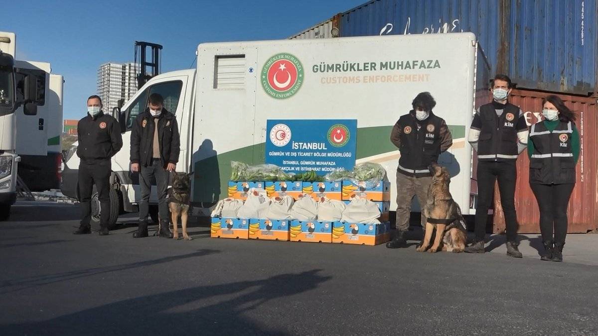 Avcılar Ambarlı Limanı'nda muz yüklü gemide 88 kilo kokain bulundu