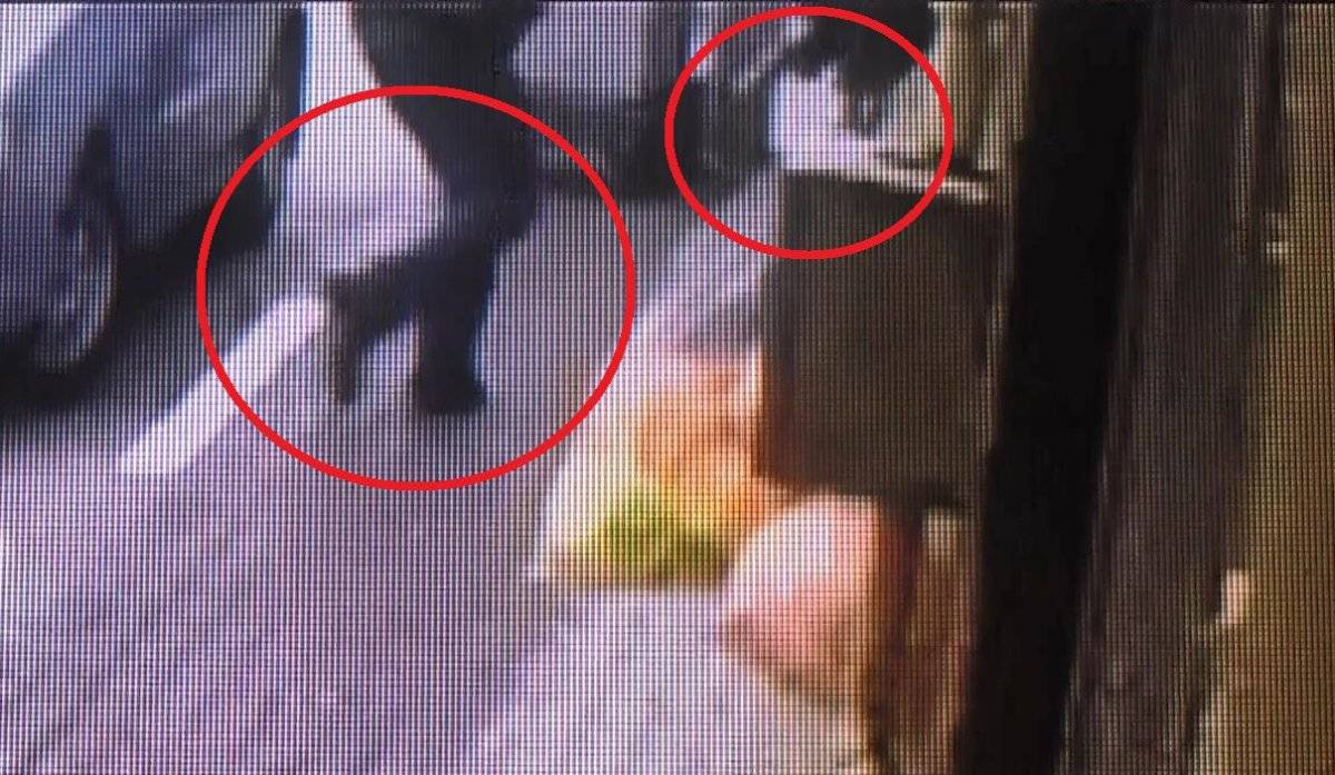 Bursa’da husumetlisine silahlı saldırı düzenledi, komşuyu da vurdu