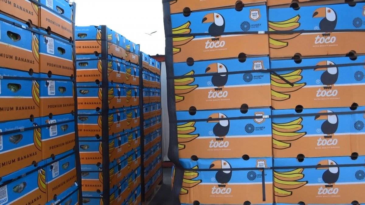 Avcılar Ambarlı Limanı'nda muz yüklü gemide 88 kilo kokain bulundu