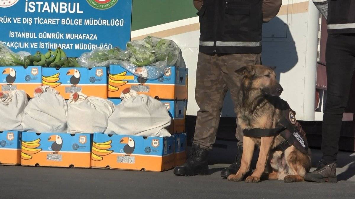 Avcılar Ambarlı Limanı'nda muz yüklü gemide 88 kilo kokain bulundu