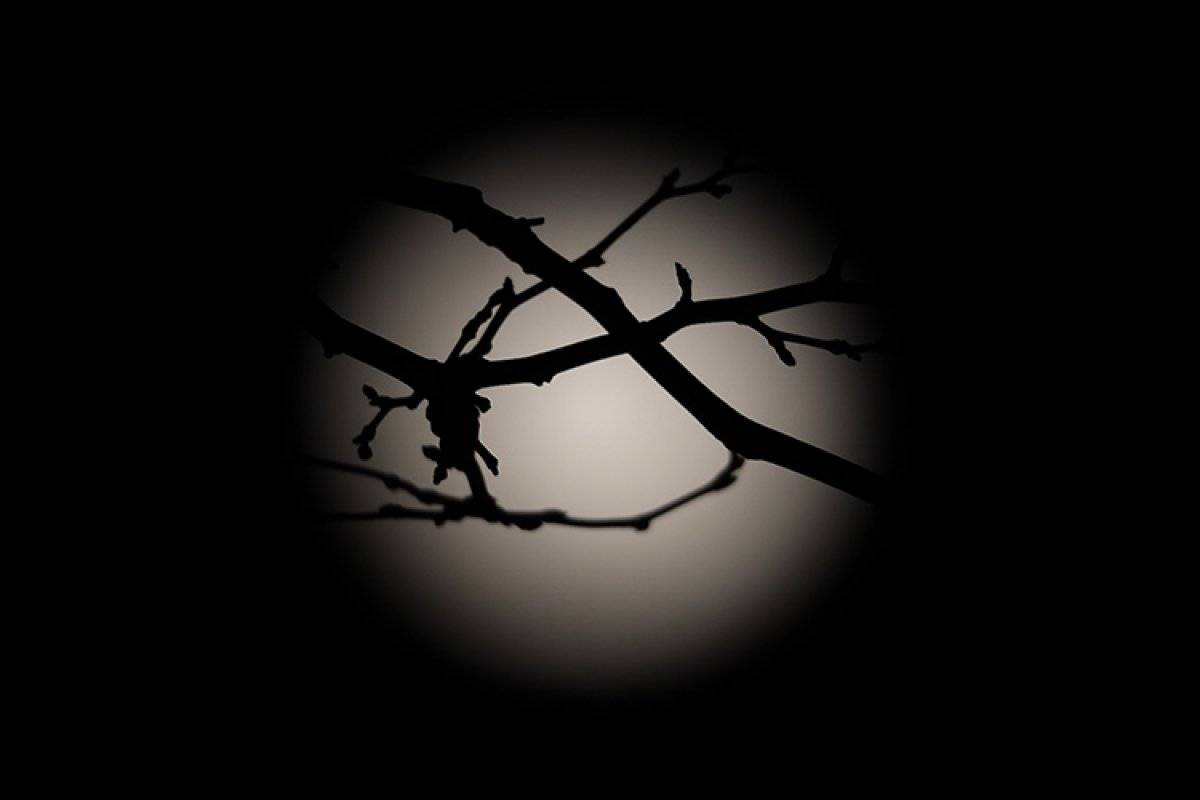 New York'ta 'Kurt Ay' manzarası