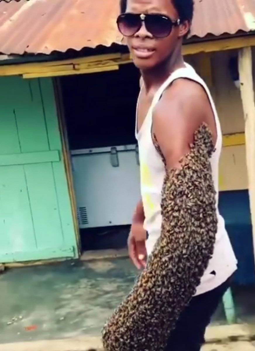 Dominikli arıcı, binlerce arıyı kolunda taşıdı