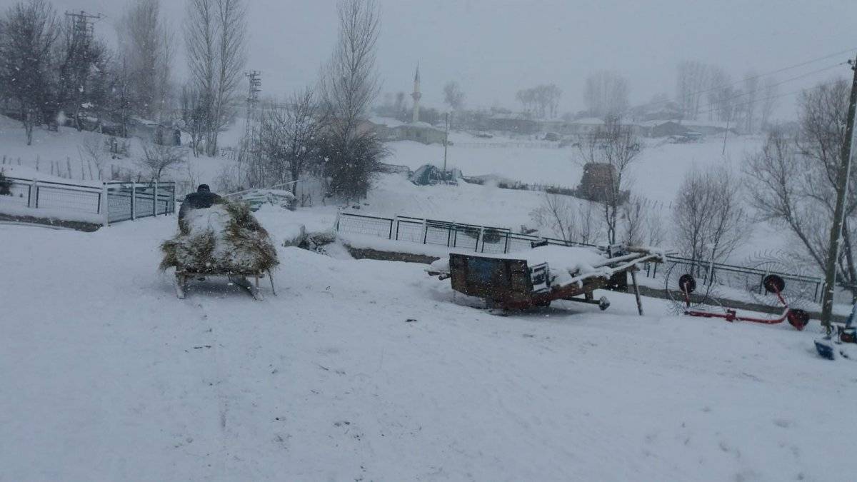 Bingöl'de besicilerin kış mücadelesi