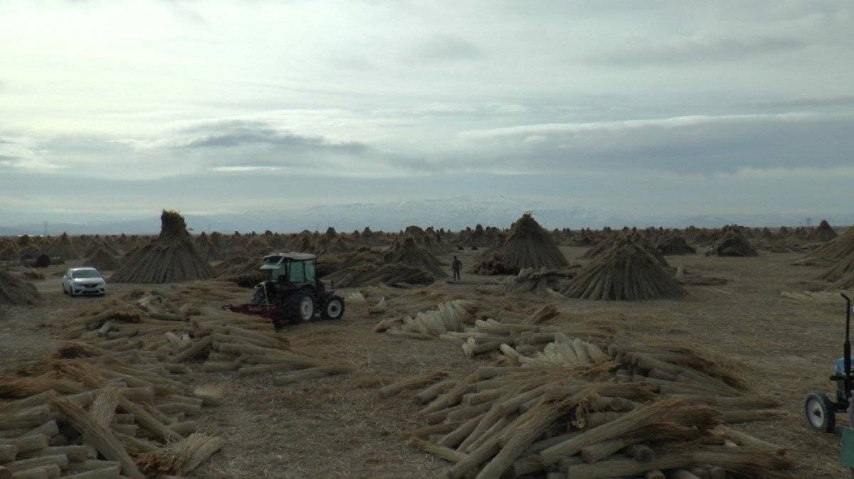 Kayseri'de kamış mesaisi
