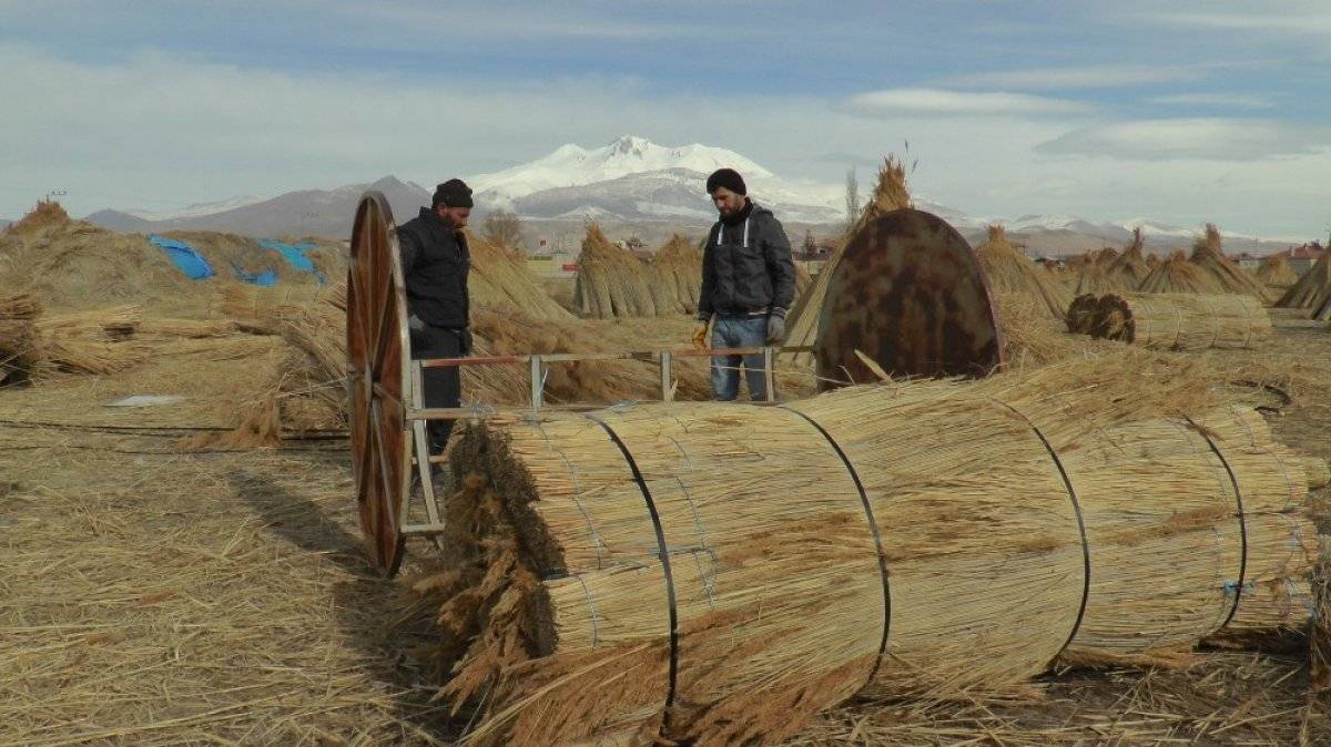 Kayseri'de kamış mesaisi