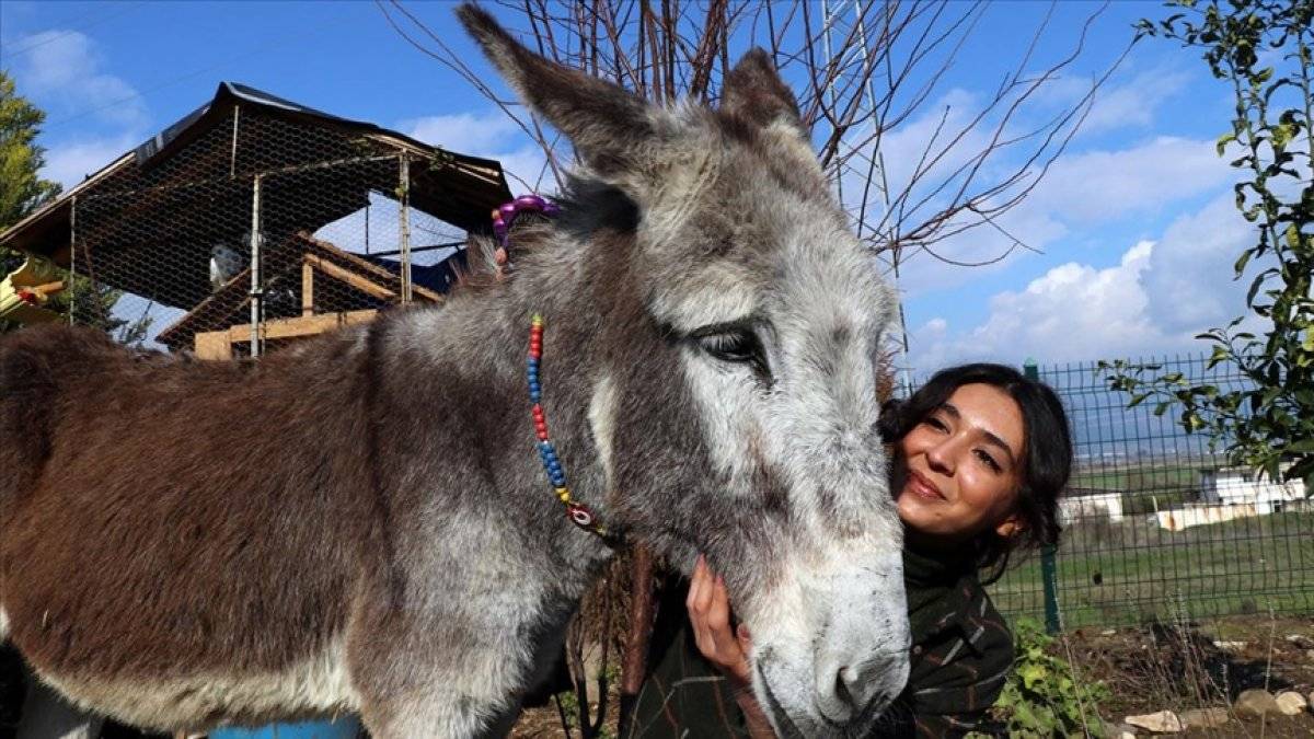 İnci hemşirenin sağlığına kavuşturduğu eşek Pamuk, arkadaşı oldu